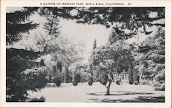 Fremont Park Santa Rosa, CA Postcard Postcard Postcard