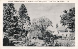 Luther Burbank's Home Postcard