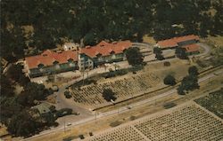 The Christian Brothers Wine and Champagne Cellar Saint Helena, CA Postcard Postcard Postcard