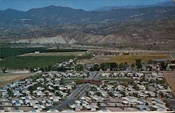 Fairview Trailer Park Postcard