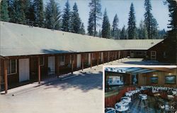 White Chief Motel Postcard