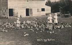 Three Children Feeding Chickens Cows & Cattle Postcard Postcard Postcard