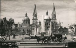 Guadalajara Cathedral Postcard