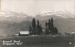 Hunewill Ranch Bridgeport, Calif. Postcard