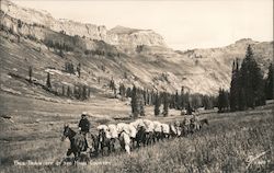 Pack Train Off of the High Country Postcard