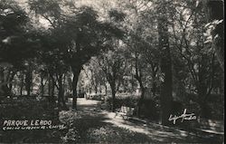 Parque Lerdo Postcard