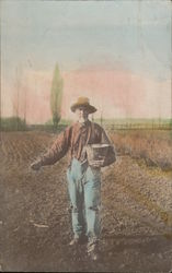 Farmer Planting Crops, Tinted Real Photo Vegetables Postcard Postcard Postcard