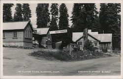 At Plumas Pines Postcard