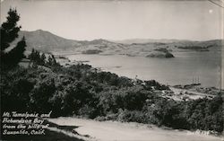 Mt. Tamalpais and Richardson Bay from the Hills Sausalito, CA Postcard Postcard Postcard