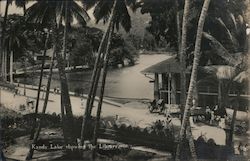 Kandy Lake Showing the Library Sri Lanka Southeast Asia Postcard Postcard Postcard