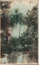 Steam in Polillo, Tinted Postcard