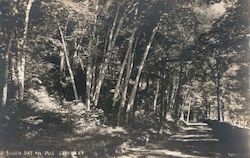 Silver Bay on Lake George New York Postcard Postcard Postcard