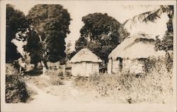 Native Huts Landscapes Postcard Postcard Postcard