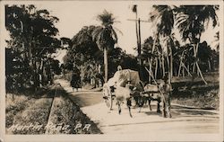 Cattle Carts - Martin Rana Postcard