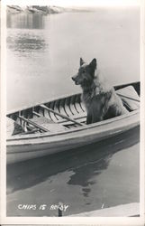 Dog in Canoe: "Chips is Ready" Postcard