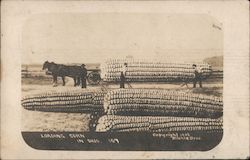 Loading Huge Ears of Corn in Ohio Postcard