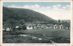 The Lindy Cottages - US No. 6 Coudersport, PA Postcard Postcard Postcard