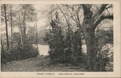 Point Tupelo, Wellesley College Massachusetts Postcard Postcard Postcard