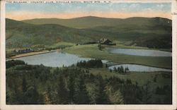 "The Balsams" Country Club, White Mts. Postcard