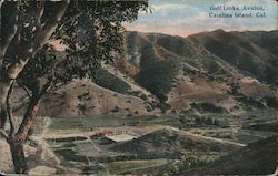 Bird's Eye View of Gold Links on Catalina Island Postcard