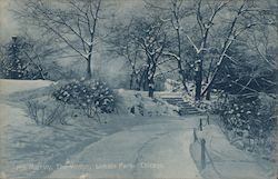 His Majesty, The Winter, Lincoln Park Chicago, IL Postcard Postcard Postcard