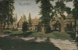 Tavern Among the Pines Lake Tahoe, CA Postcard Postcard Postcard