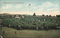 Judging Horses, Toronto Exhibition Postcard