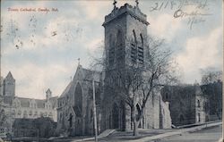 Trinity Cathedral Postcard