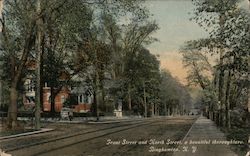 Front Street and North Street, a beautiful thoroughfare Postcard