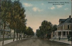 Chestnut Street, Looking North Postcard