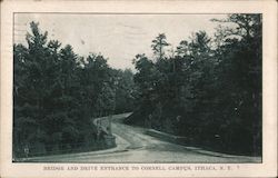 Bridge and Drive Entrance to Cornell Campus Postcard