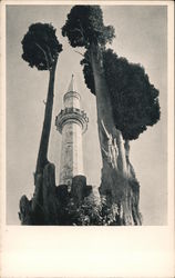 Minaret and Cypress Trees Istanbul, Turkey Greece, Turkey, Balkan States Postcard Postcard Postcard