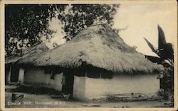 Coolie Hut Trinidad, British West Indies Caribbean Islands Postcard Postcard Postcard