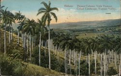 Paisaje Cubano, Valle Yumuri Havana, Cuba Postcard Postcard Postcard