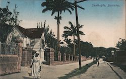 Strathclyde, Barbados Caribbean Islands Postcard Postcard Postcard