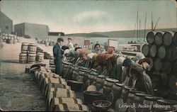 Packing Herrings Lerwick, Scotland Postcard Postcard Postcard