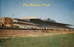 Bay Meadows Race Track San Mateo, CA Postcard Postcard Postcard