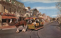 Horse-Drawn Street Car Anaheim, CA Postcard Postcard Postcard