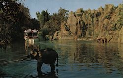 elephant Bathing Pool Anaheim, CA Postcard Postcard Postcard