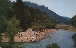 Odd Fellows Beach Guerneville, CA Postcard Postcard Postcard