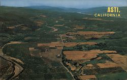 Aerial View of the Heart of Redwood Wine Country - Noted for it's beautiful vineyards Asti, CA Postcard Postcard Postcard