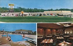 Colony 7 Motor Inn Postcard