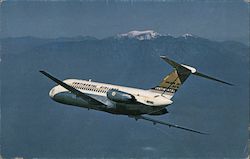 DC-9 Golden Jst Postcard