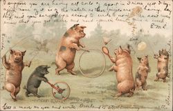 Pigs Playing with Outdoor Toys Postcard