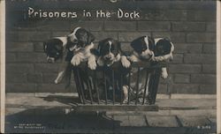 Prisoners in the Dock Postcard