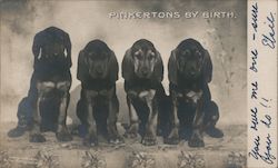 Pinkertons by Birth Postcard