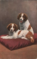 Two Spaniels on a Cushion Dogs Postcard Postcard Postcard