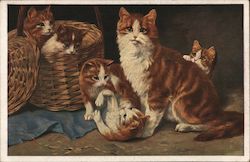 Mother Cat with Basket of Kittens Postcard