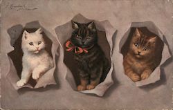 Three Kittens in Paper Postcard