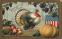 Thanksgiving Greetings Postcard